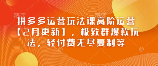 拼多多运营玩法课高阶运营【2月更新】，极致群爆款玩法，轻付费无尽复制等-数码之翼