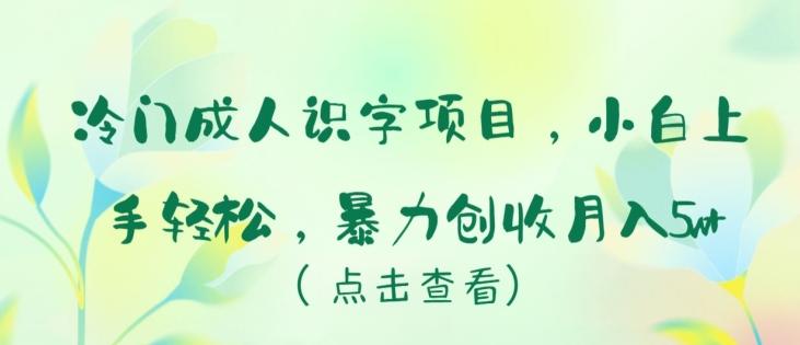冷门成人识字项目，小白上手轻松，暴力创收月入5w+【揭秘】-数码之翼