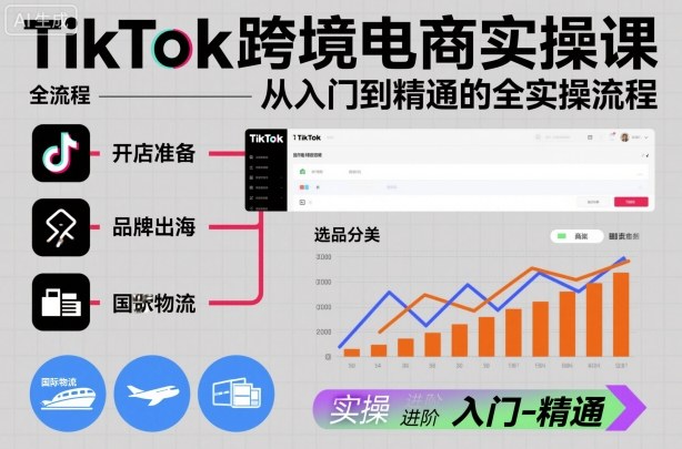 TikTok跨境电商实操课，从入门到精通的全实操流程-数码之翼