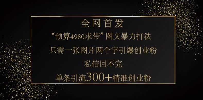 小红书神奇图片引流法，只需一张图，就能单条笔记凭借此方法，轻松引流 300 + 精准创业粉-数码之翼