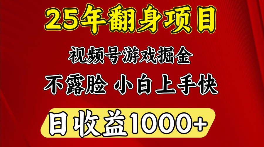 一天收益1000+ 25年开年落地好项目-数码之翼