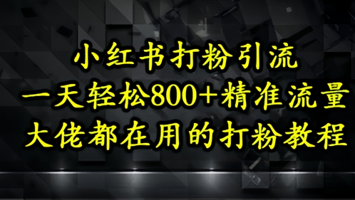 小红书打粉引流，一天轻松500+精准流量，大佬都在用的打粉教程-数码之翼