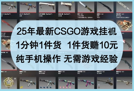 25年最新CSGO游戏挂G,1分钟1件货,1件货挣10元,纯手机操作,无需游戏经验【揭秘】-数码之翼