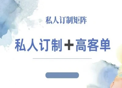 小红书自媒体咨询师IP教程，私人定制+高客单-数码之翼