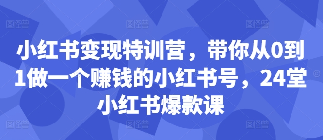 小红书变现特训营，带你从0到1做一个赚钱的小红书号，24堂小红书爆款课-数码之翼