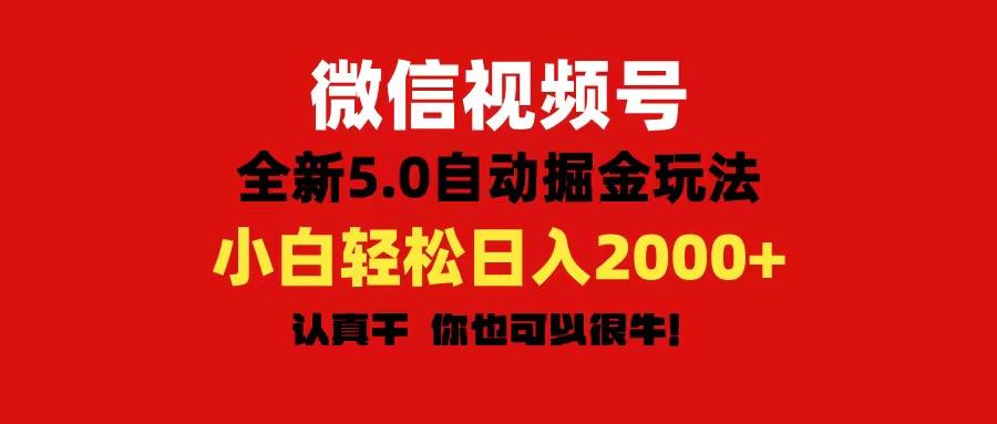 微信视频号变现，5.0全新自动掘金玩法，日入利润2000+有手就行-数码之翼