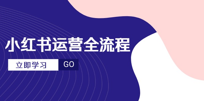 小红书运营全流程，爆款选题文案，视频制作技巧，进阶达人宝典-数码之翼