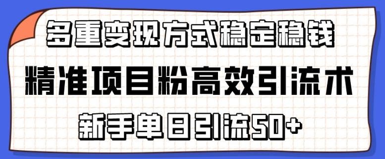 精准项目粉高效引流术,新手单日引流50+,多重变现方式稳定赚钱【揭秘】-数码之翼