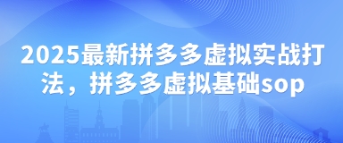 2025最新拼多多虚拟实战打法，拼多多虚拟基础sop-数码之翼