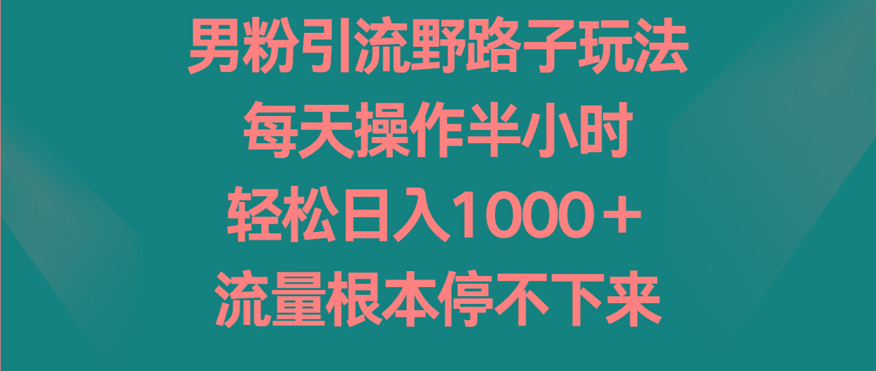男粉引流野路子玩法，每天操作半小时轻松日入1000＋，流量根本停不下来-数码之翼