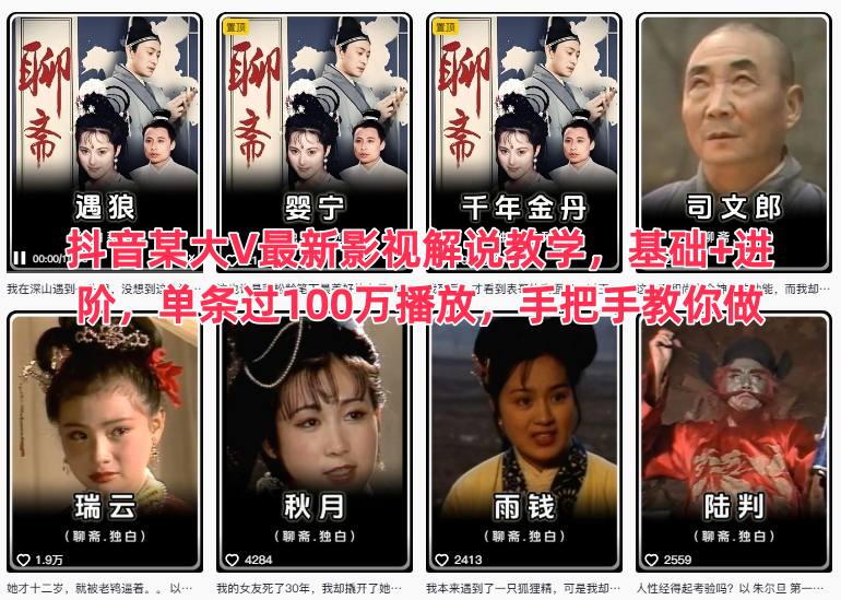 抖音某大V最新影视解说教学，基础+进阶，单条过100万播放，手把手教你做-数码之翼