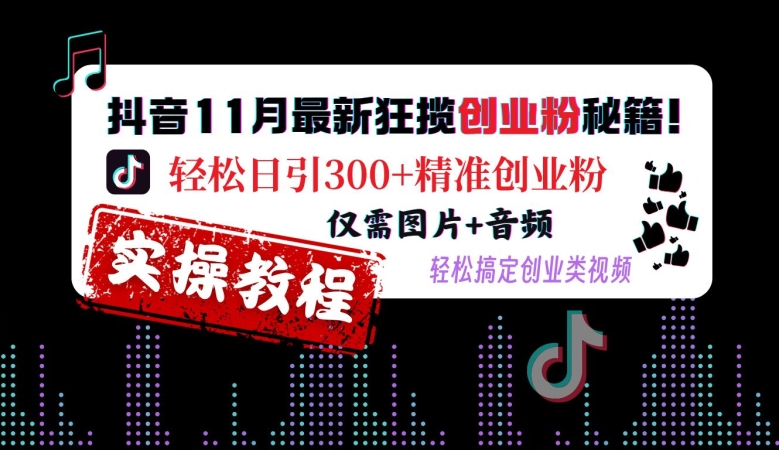抖音11月最新狂揽创业粉秘籍，轻松日引300+精准创业粉，仅需图片+音频，轻松搞定创业类视频-数码之翼