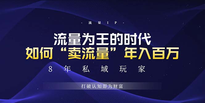未来如何通过“卖流量”年入百万，跨越一切周期绝对蓝海项目-数码之翼