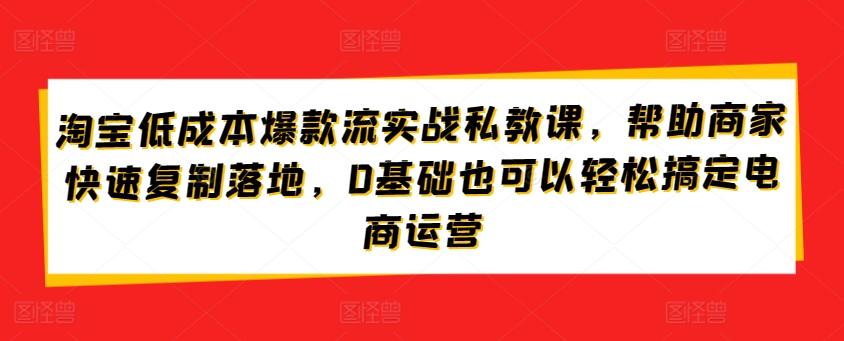 淘宝低成本爆款流实战私教课，帮助商家快速复制落地，0基础也可以轻松搞定电商运营-数码之翼