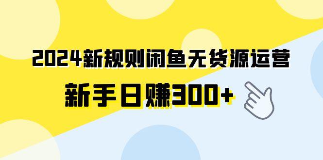 (9522期)2024新规则闲鱼无货源运营新手日赚300+-数码之翼