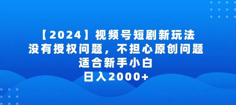 2024视频号短剧玩法，没有授权问题，不担心原创问题，适合新手小白，日入2000+【揭秘】-数码之翼