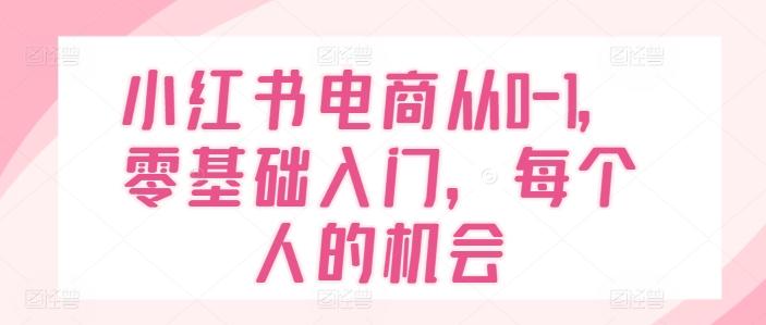 小红书电商从0-1，零基础入门，每个人的机会-数码之翼