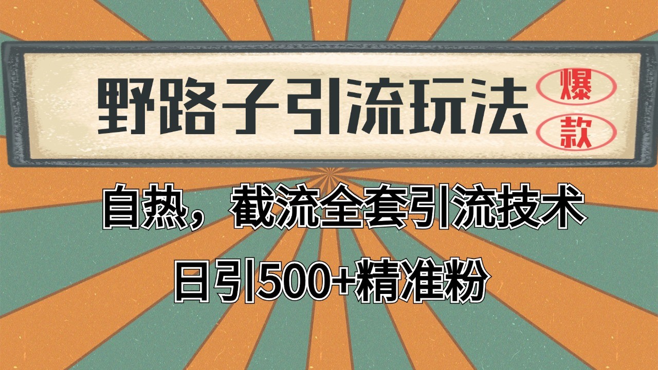 抖音小红书视频号全平台引流打法，全自动引流日引2000+精准客户-数码之翼