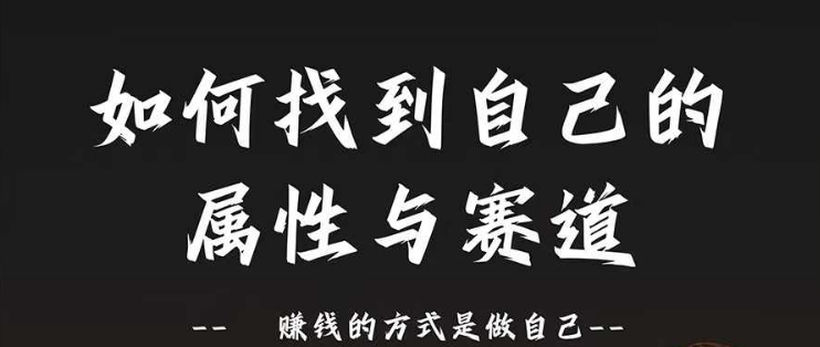 赛道和属性2.0：如何找到自己的属性与赛道，赚钱的方式是做自己-数码之翼