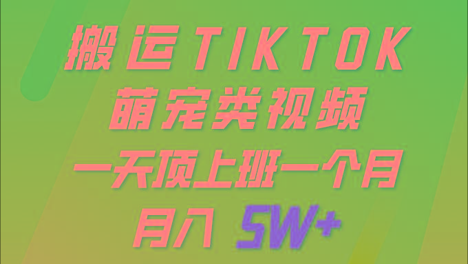 (9931期)一键搬运TIKTOK萌宠类视频 一部手机即可操作 所有平台均可发布 轻松月入5W+-数码之翼