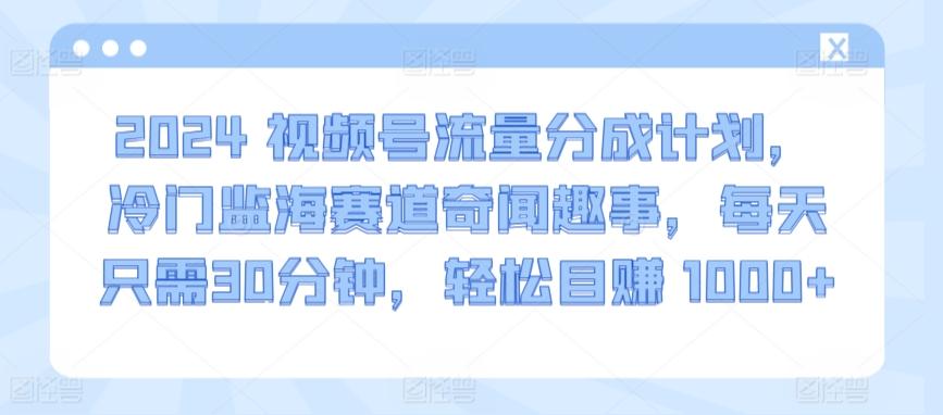 2024视频号流量分成计划,冷门监海赛道奇闻趣事,每天只需30分钟,轻松目赚 1000+【揭秘】-数码之翼