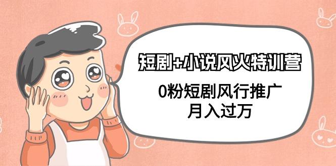 (9374期)短剧+小说风火特训营，0粉短剧风行推广，月入过万(102节课)-数码之翼