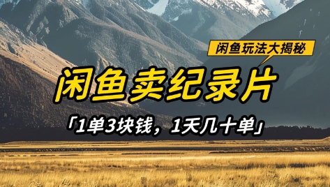 闲鱼卖纪录片1单3块钱，1天几十单，项目稳定有潜力-数码之翼