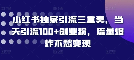小红书独家引流三重奏,当天引流100+创业粉,流量爆炸不愁变现【揭秘】-数码之翼