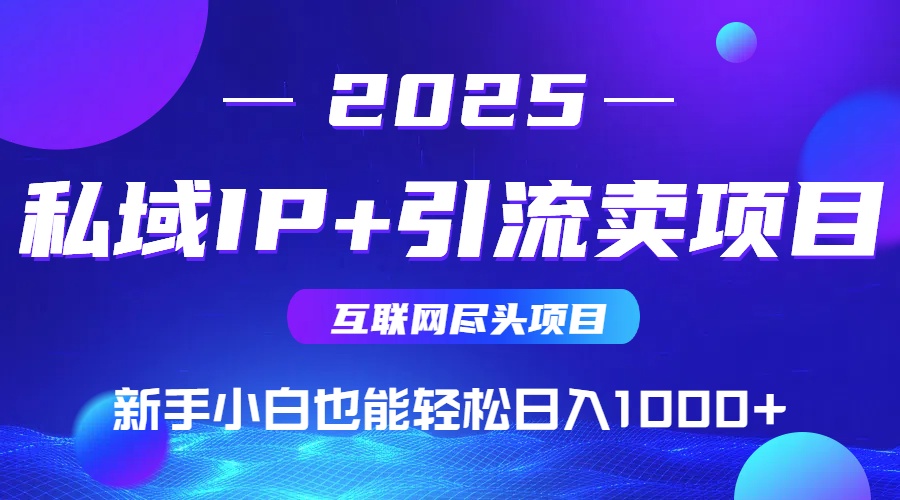 私域IP+卖项目，普通人小白也能轻松实现日入1000+-数码之翼