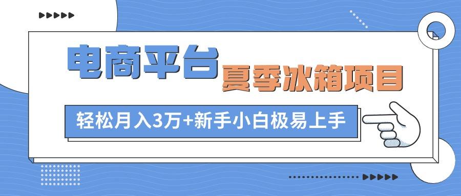 电商平台夏季冰箱项目，轻松月入3万+，新手小白极易上手-数码之翼