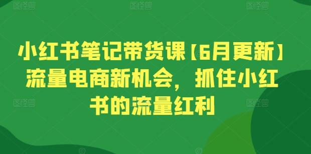 小红书笔记带货课【6月更新】流量电商新机会，抓住小红书的流量红利-数码之翼