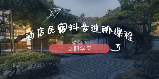 酒店民宿抖音进阶课程，掌握流量渠道与推流逻辑，打造爆款内容-数码之翼