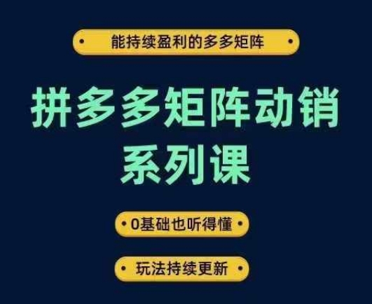 拼多多矩阵动销系列课，能持续盈利的多多矩阵，0基础也听得懂，玩法持续更新-数码之翼