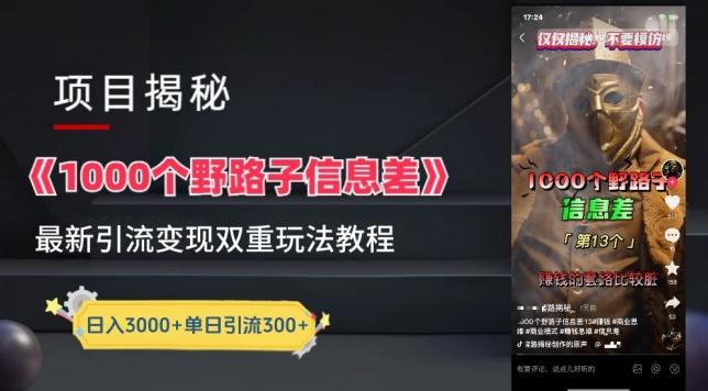 一千个野路子信息差最新玩法教程-变现+引流的玩法具体拆解【揭秘】-数码之翼