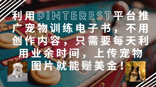 利用Pinterest平台推广宠物训练电子书，不用创作内容，只需要每天利用业余时间，上传宠物图片就能挣美金!-数码之翼