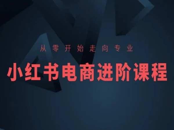 从零开始走向专业，小红书电商进阶课程-数码之翼