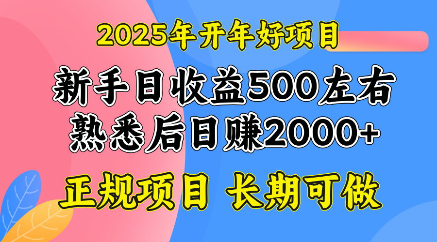 2025开年好项目，单号日收益2000左右-数码之翼
