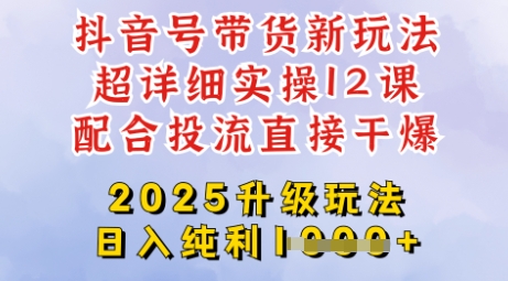 2025全新升级抖音带货玩法，一天纯利四位数，从剪辑到选品再到发布投流，超详细玩法揭秘-数码之翼