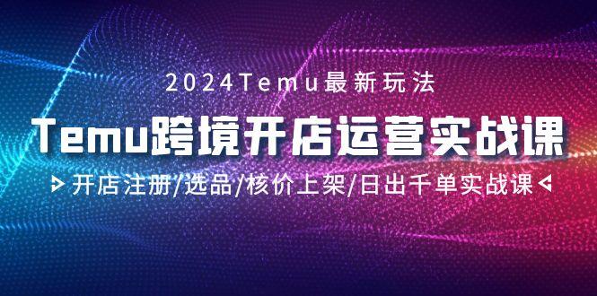 2024Temu跨境开店运营实战课,开店注册/选品/核价上架/日出千单实战课-数码之翼