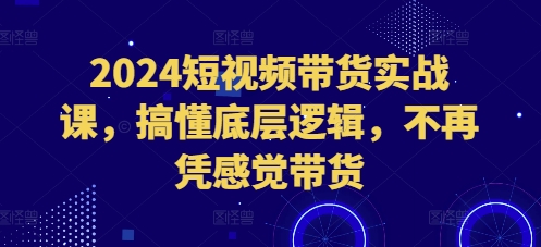 2024短视频带货实战课，搞懂底层逻辑，不再凭感觉带货-数码之翼