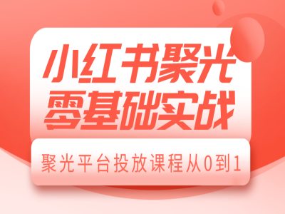 小红书聚光零基础实战，聚光平台投放课程从0到1-数码之翼