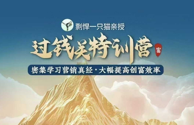 剽悍一只猫-过钱关特训营，学习营销真经 大幅度提高创富效率-数码之翼