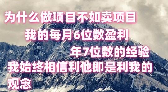做项目不如卖项目，每月6位数盈利，年7位数经验-数码之翼