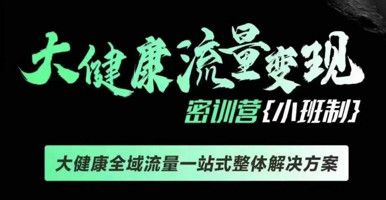 千万级大健康变现课线下课，大健康全域流量一站式整体解决方案-数码之翼