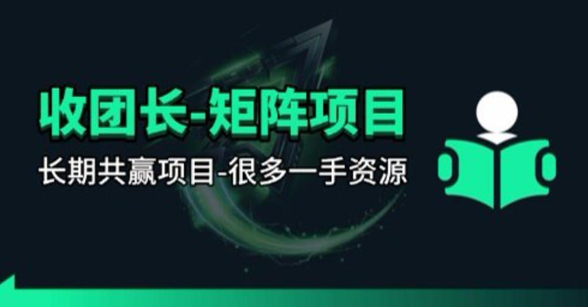 【团长合作】视频矩阵项目_招发手矩阵+剪辑师，共赢项目【揭秘】-数码之翼
