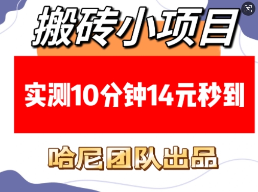 搬砖小项目，实测10分钟14元秒到，每天稳定几张(赠送必看稳定)-数码之翼