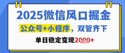 2025微信风口掘金,公众号+小程序双管齐下,单日稳定变现1k+【揭秘】-数码之翼