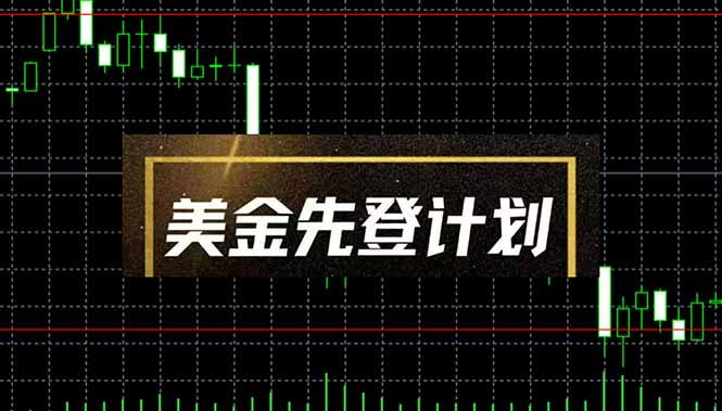 美金先登计划(2025黑马项目-数码之翼