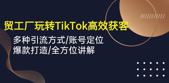 外贸工厂玩转TikTok高效获客，多种引流方式/账号定位/爆款打造/全方位讲解-数码之翼