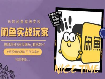 手把手教你0到1系统玩转闲鱼变现，爆款思维/超级曝光/超高转化-数码之翼